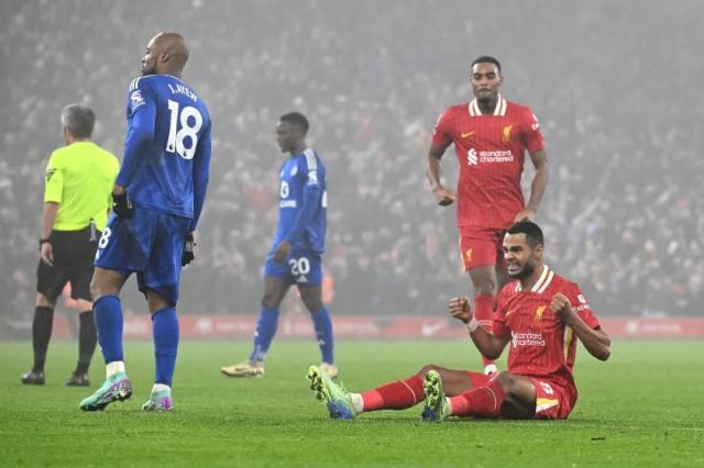 1735255135123071700.jpg 1735254879402.jpg